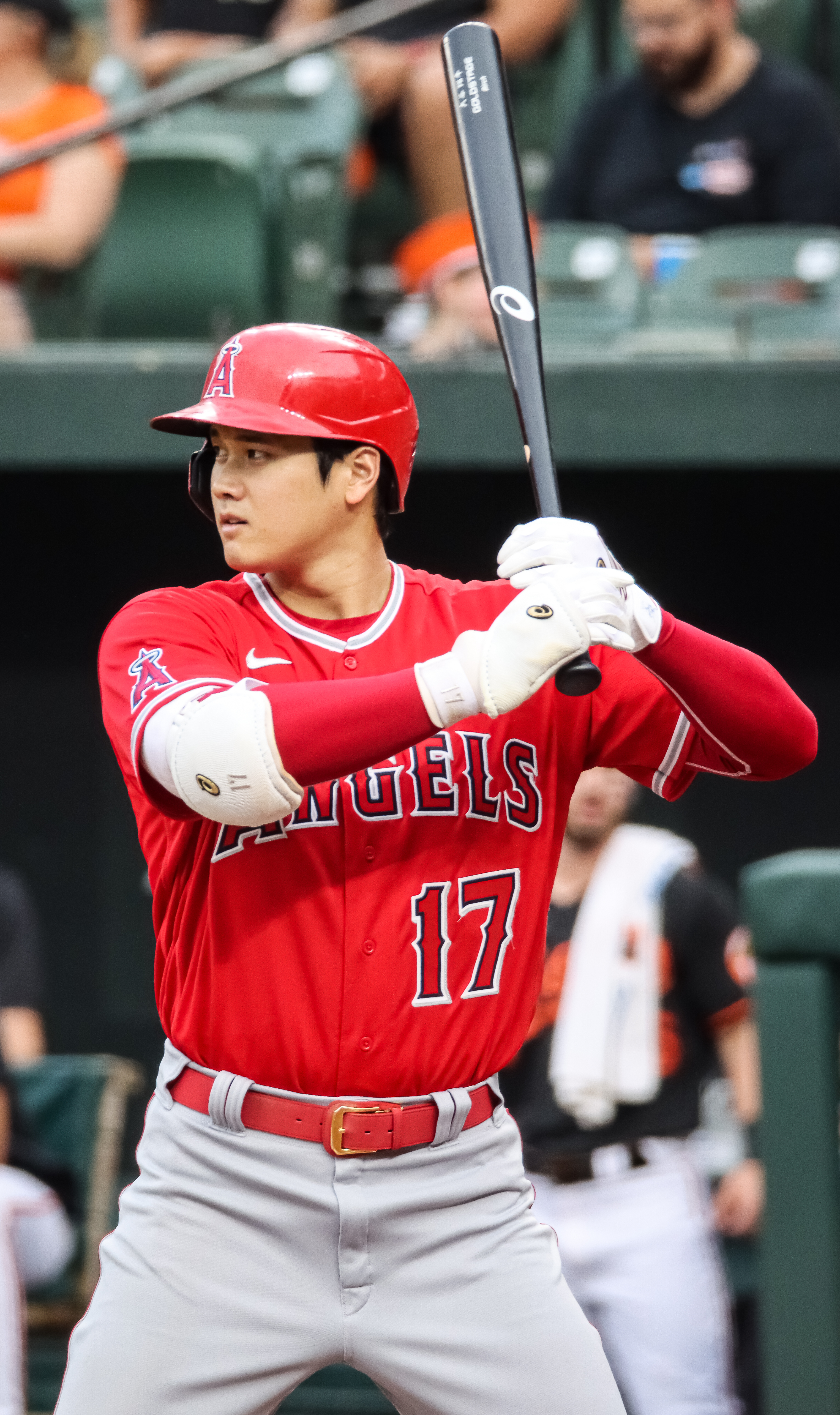 Shohei Ohtani Market Guide for Collectors